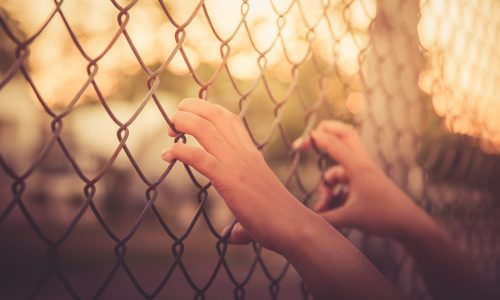 Photo of hands holding onto a fence.