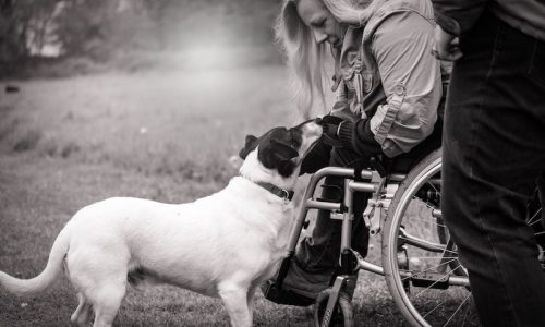 Photo of a woman in a wheelchair with a dog.