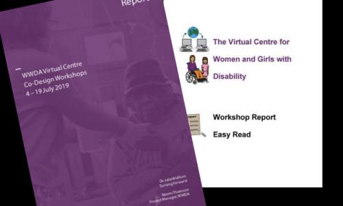 screenshot of front covers of the workshop report. One in purple. One in white.