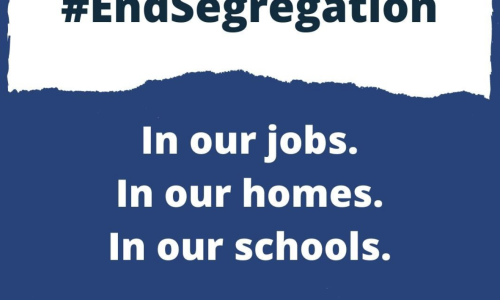 Text reads: “#EndSegregation In our jobs. In our homes. In our schools. www.dpoa.org.au/endsegregation” Background is blue and white with a torn paper effect.