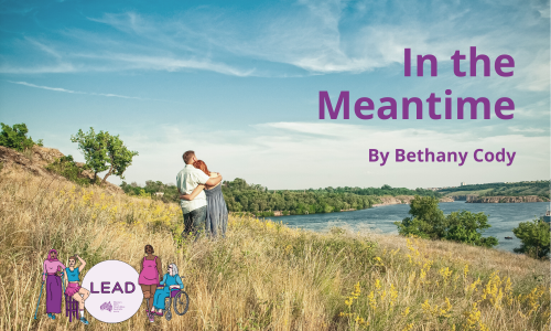 A man and a woman hugging in a field looking over a river. Purple text read In the Meantime by Bethany Cody.