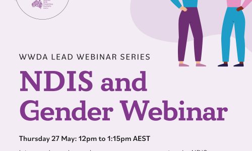 Light purple background, dark purple heading NDIS and Gender Webinar. Includes an illustration of two women giving each other a high 5.