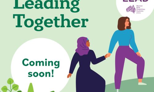 Light green background, dark green text reads WWDA Lead Mentoring Program, Leading Together. An illustration of two women, one with long brown hair and one wearing a headscarf. One of the woman are walking , leading the other one by holding her hand. With a white circle which said Coming soon!
