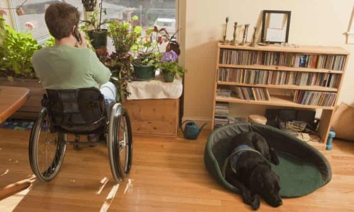 Photo of a woman suing a wheelchair talking on the phone in a house. Next to her is a bookshelf and a Black labrador dog.
