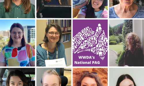 A collage of headshots of 11 WWDA PAG members, as well as the WWDA logo and white text that reads "WWDA's National PAG". Individual image descriptions for each headshot are available on the webpage.