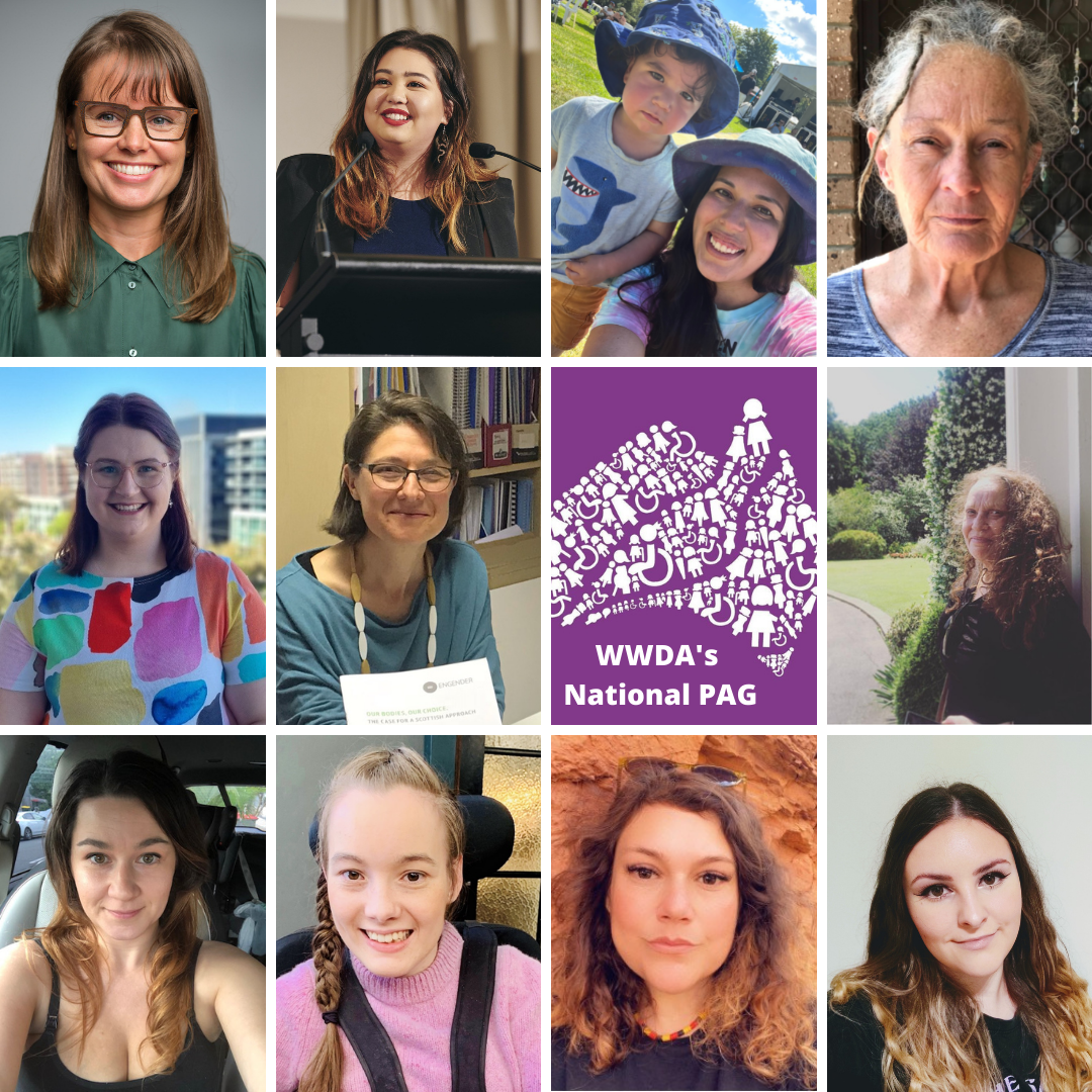 A collage of headshots of 11 WWDA PAG members, as well as the WWDA logo and white text that reads "WWDA's National PAG". Individual image descriptions for each headshot are available on the webpage.