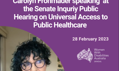 Purple background with photo of Carolyn Frohmader in the bottom left hand corner. Carolyn has curly blue hair, is wearing blue rimmed glasses and a blue top with a green cardigan. Text reads: 'WWDA Executive Director, Carolyn Frohmader speaking at the Senate Inquriy Public Hearing on Universal Access to Public Healthcare. 28 February 2023.' In the bottom right hand corner is the Women With DIsabilities Australia in white.