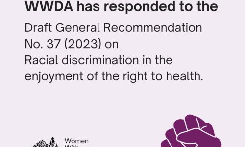 Light purple background with black text that reads 'WWDA has responded to the Draft General Recommendation No. 37 (2023) on Racial discrimination in the enjoyment of the right to health.' WWDA logo and a dark purple fist illustration.