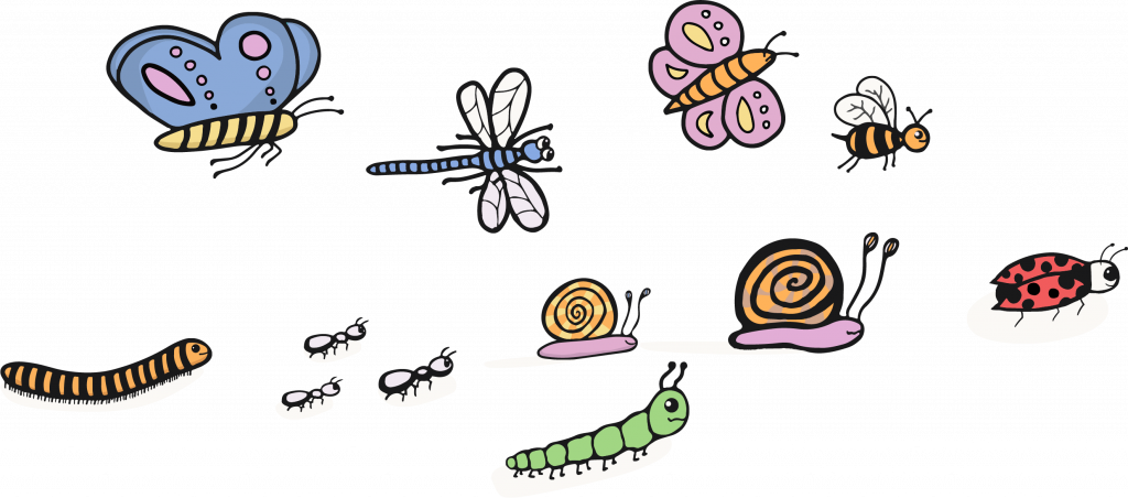 A picture of a group of insects and bugs. A blue butterfly with pink marks on its wings and a yellow body. A green centipede. A red ladybug. Three black ants with blue spots on their bodies. A snail that has a yellow and orange shell and purple body. A pink and purple beetle. A yellow and orange beetle. A blue dragonfly.