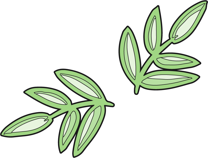 Two green stalks with four oval shaped leaves and a single leaf on top, with one stalk positioned in the left corner and the other in the right corner.